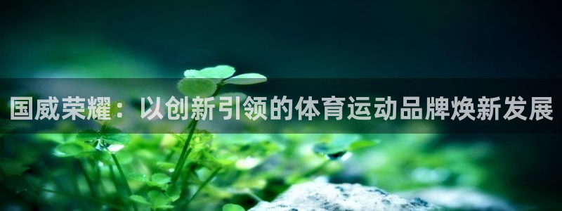 意昂4科技：国威荣耀：以创新引领的体育运动品牌焕新发