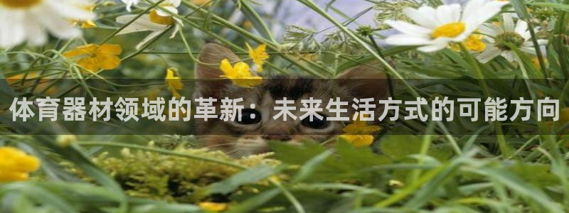 海南意昂体育4发展怎么样：体育器材领域的革新：未来生