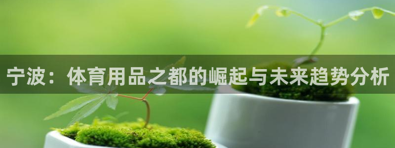 意昂4娱乐下载：宁波：体育用品之都的崛起与未来趋势分