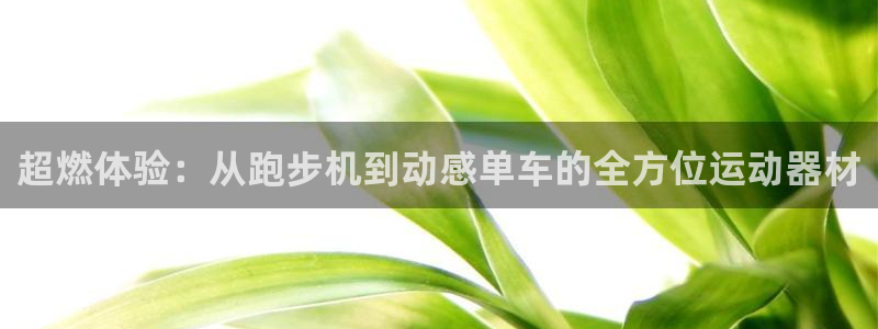 意昂体育4平台注册要钱吗安全吗：超燃体验：从跑步机到