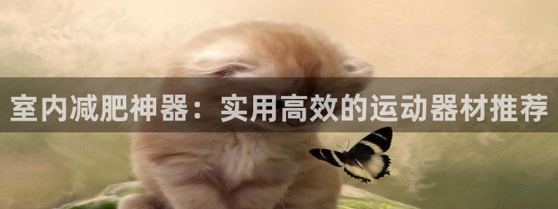 意昂平台体育：室内减肥神器：实用高效的运动器材推荐