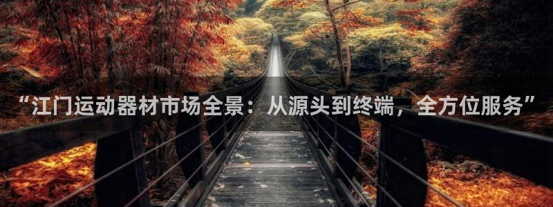 意昂4集团E.ON：“江门运动器材市场全景：从源头到终端，全