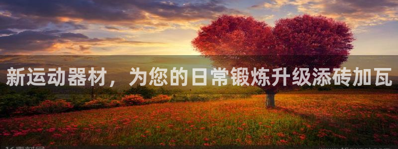 意昂4新能源：新运动器材，为您的日常锻炼升级添砖加瓦