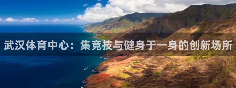 意昂4娱乐首页网站大全：武汉体育中心：集竞技与健身于