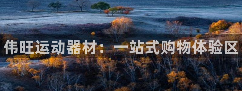意昂体育4平台是正规平台吗知乎：伟旺运动器材：一站式购物体验