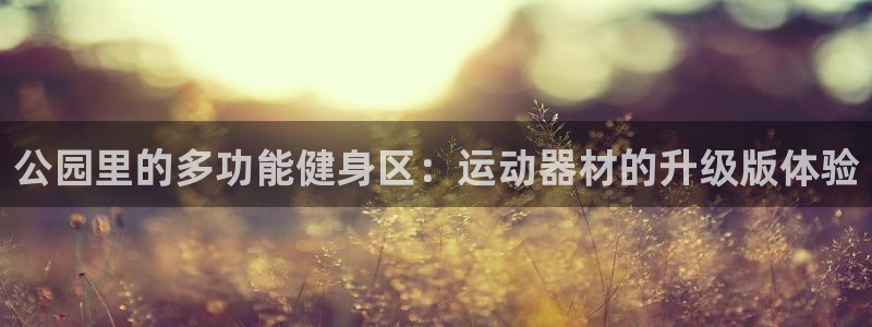 意昂体育4招商电话号码查询：公园里的多功能健身区：运