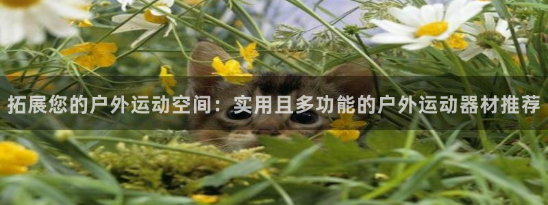 意昂体育4招商电话号码是多少啊：拓展您的户外运动空间