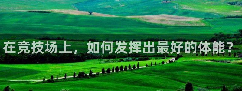 意昂4娱乐：在竞技场上，如何发挥出最好的体能？