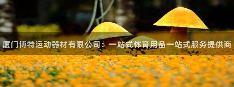意昂体育4平台是正规平台吗安全吗：厦门博特运动器材有