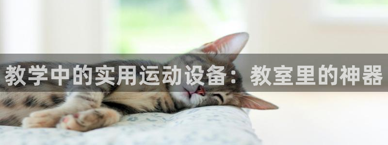 意昂体育4招商