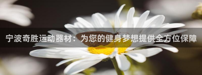 意昂体育4平台注册流程图：宁波奇胜运动器材：为您的健