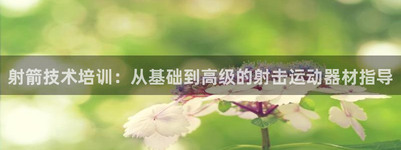 意昂体育4招商电话号码：射箭技术培训：从基础到高级的射击运动