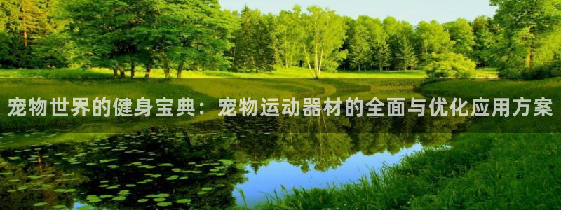 意昂4娱乐平台：宠物世界的健身宝典：宠物运动器材的全