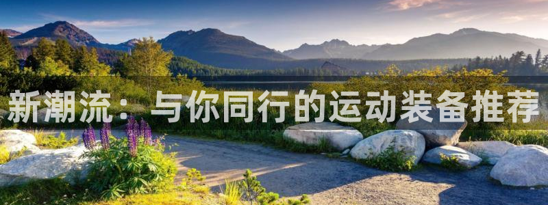 意昂体育4