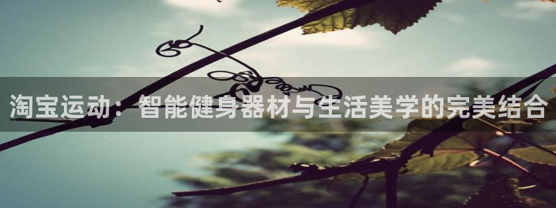 意昂4娱乐是那个系列的台子：淘宝运动：智能健身器材与