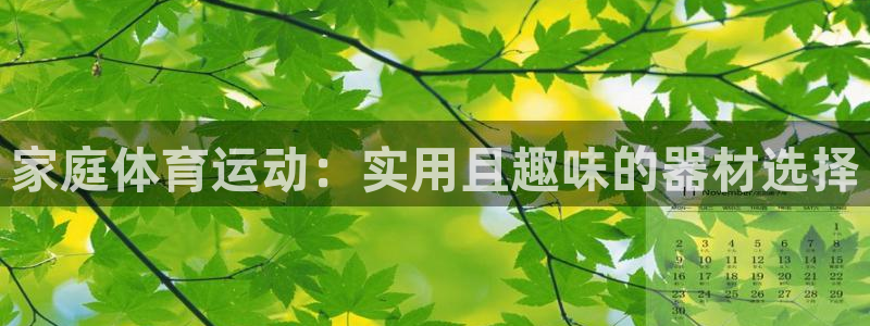 意昂体育4招商电话是多少啊：家庭体育运动：实用且趣味的器材选
