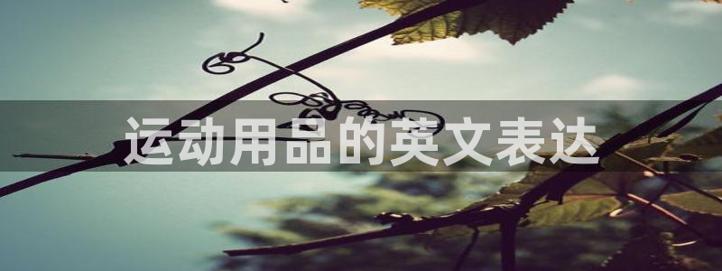 意昂体育4招商电话号码是多少：运动用品的英文表达