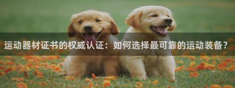 意昂4官网：运动器材证书的权威认证：如何选择最可靠的