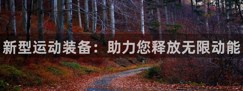 意昂4集团官网首页：新型运动装备：助力您释放无限动能