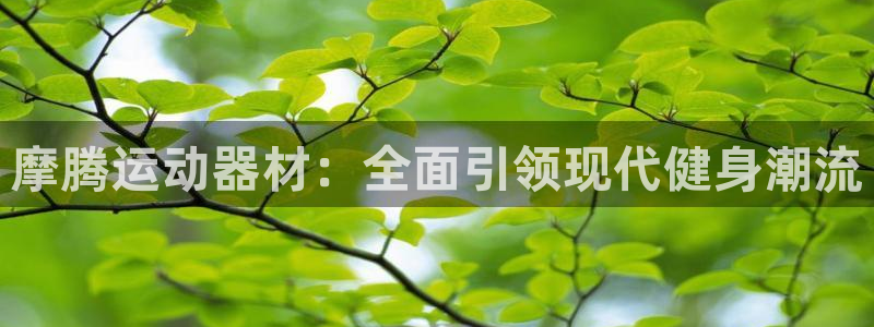 意昂4集团简介：摩腾运动器材：全面引领现代健身潮流