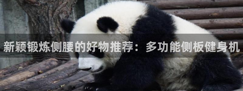 意昂体育4招商电话是多少号码：新颖锻炼侧腰的好物推荐
