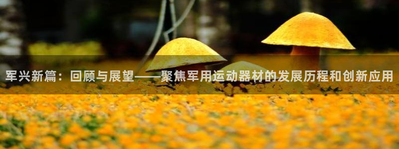 意昂体育4平台注册流程图：军兴新篇：回顾与展望——聚