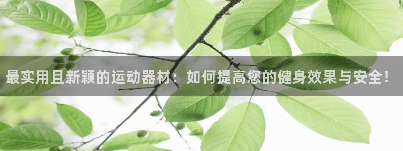 意昂体育4平台APP：最实用且新颖的运动器材：如何提