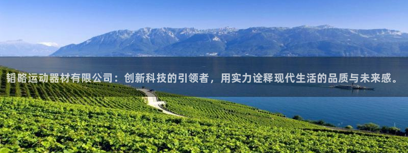 意昂4新能源：韬略运动器材有限公司：创新科技的引领者