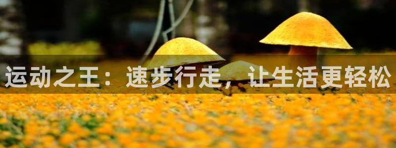 意昂集团官网：运动之王：速步行走，让生活更轻松