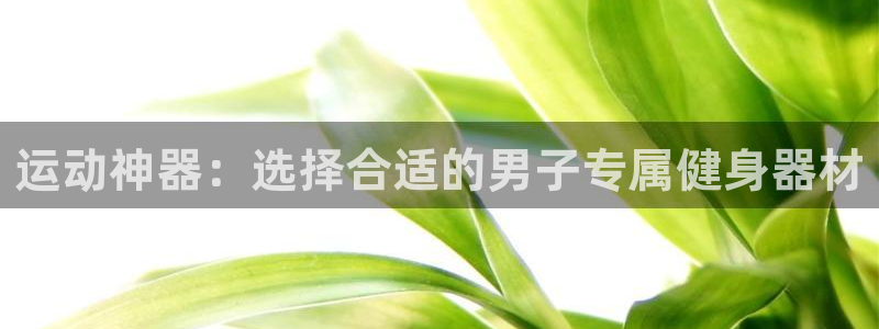 意昂集团官网：运动神器：选择合适的男子专属健身器材