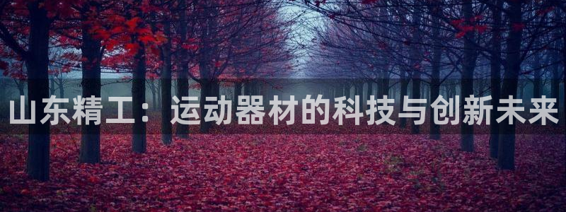 意昂体育4开户：山东精工：运动器材的科技与创新未来