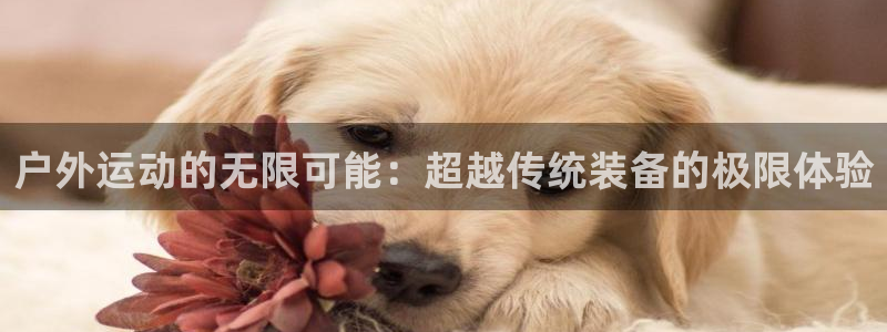 意昂体育4是干嘛的公司：户外运动的无限可能：超越传统