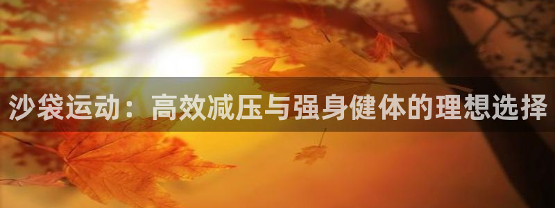 意昂4集团官网首页：沙袋运动：高效减压与强身健体的理
