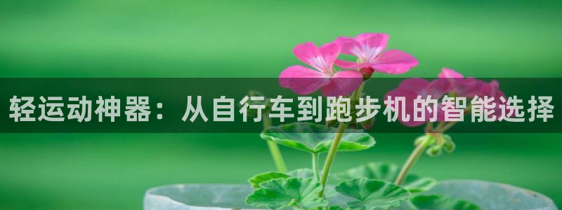 意昂4娱乐下载：轻运动神器：从自行车到跑步机的智能选择