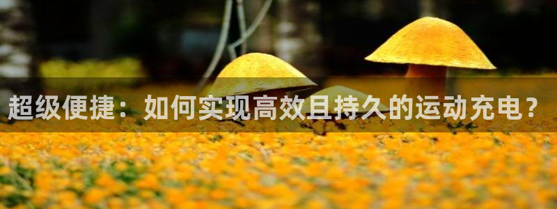 意昂体育4招商电话号码是多少号：超级便捷：如何实现高