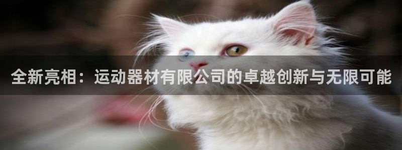 意昂体育4招商电话地址：全新亮相：运动器材有限公司的