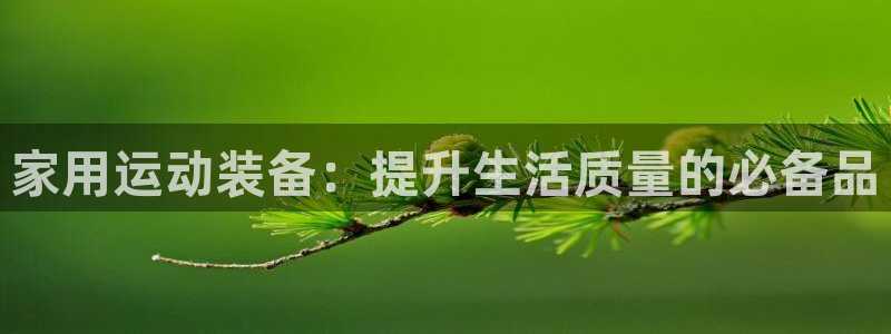 意昂4娱乐代理怎么样：家用运动装备：提升生活质量的必