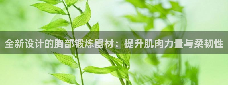 意昂体育4是干嘛的公司：全新设计的胸部锻炼器材：提升