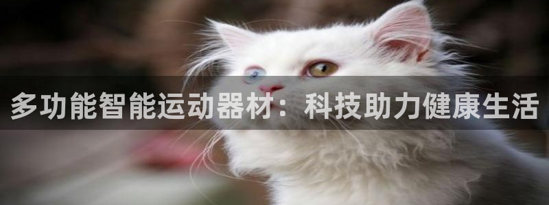 意昂体育4官方客服电话：多功能智能运动器材：科技助力