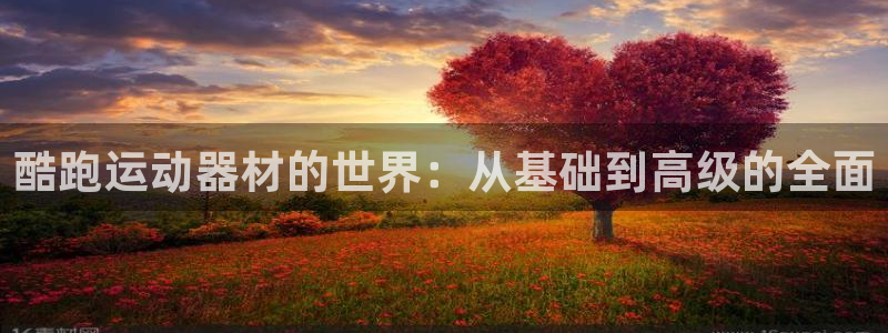 意昂体育4平台APP：酷跑运动器材的世界：从基础到高