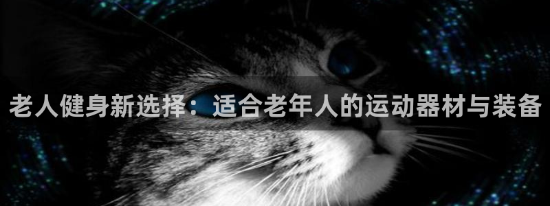 意昂体育4招商：老人健身新选择：适合老年人的运动器材与装备