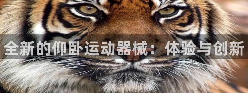 海南意昂体育4：全新的仰卧运动器械：体验与创新