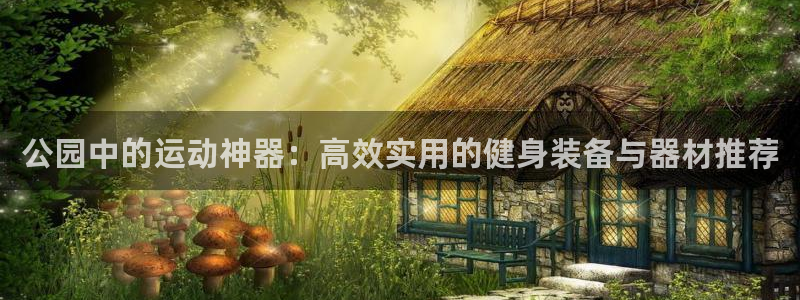 意昂4五金厂：公园中的运动神器：高效实用的健身装备与