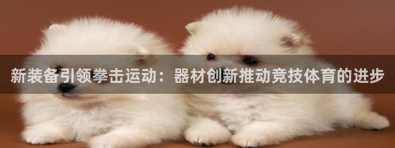 意昂体育4招商电话是多少：新装备引领拳击运动：器材创
