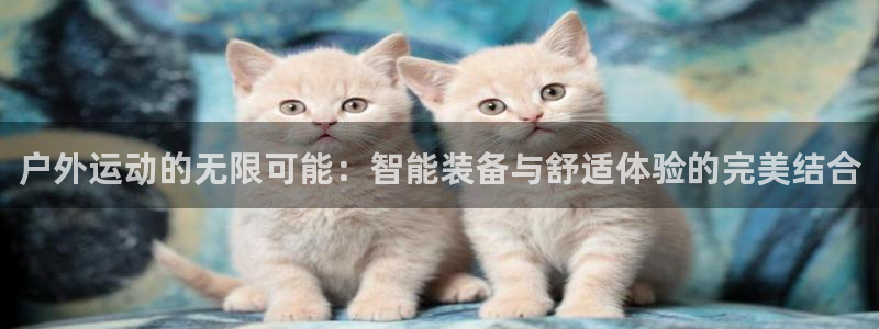 注册意昂4：户外运动的无限可能：智能装备与舒适体验的