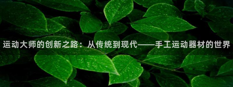 意昂体育4软件：运动大师的创新之路：从传统到现代——手工运动