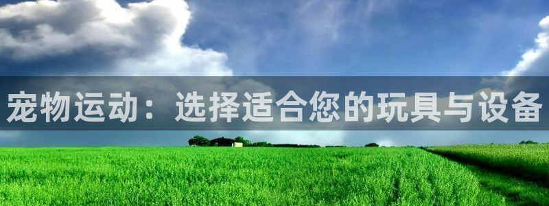 德国意昂4集团：宠物运动：选择适合您的玩具与设备