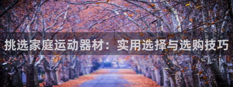 意昂体育4平台注册流程视频：挑选家庭运动器材：实用选择与选购