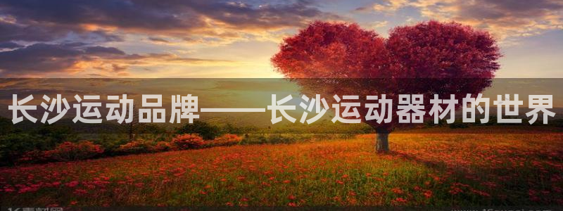 意昂4科技：长沙运动品牌——长沙运动器材的世界