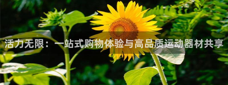 意昂4五金厂：活力无限：一站式购物体验与高品质运动器材共享